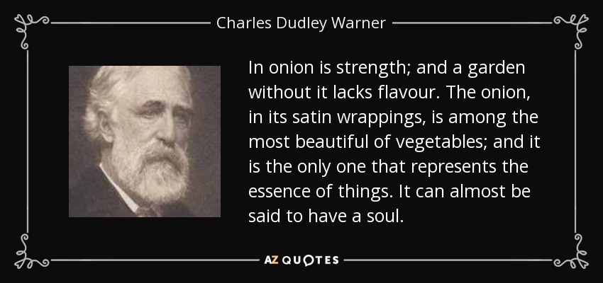 In onion is strength; and a garden without it lacks flavour. The onion, in its satin wrappings, is among the most beautiful of vegetables; and it is the only one that represents the essence of things. It can almost be said to have a soul. - Charles Dudley Warner