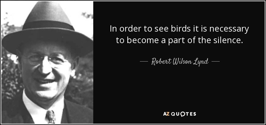In order to see birds it is necessary to become a part of the silence. - Robert Wilson Lynd
