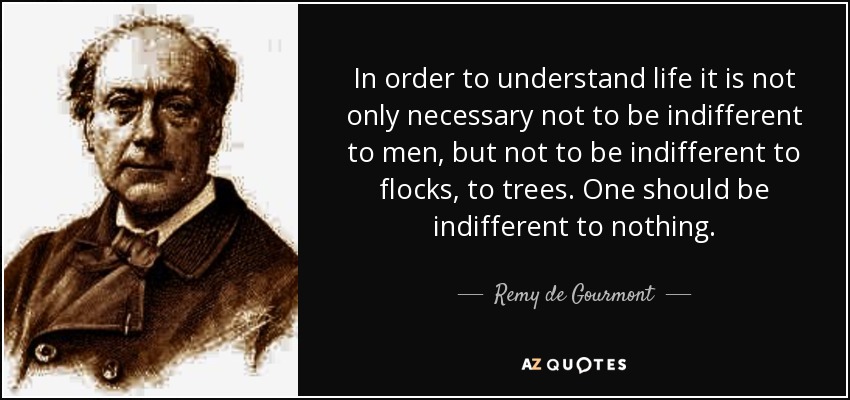In order to understand life it is not only necessary not to be indifferent to men, but not to be indifferent to flocks, to trees. One should be indifferent to nothing. - Remy de Gourmont