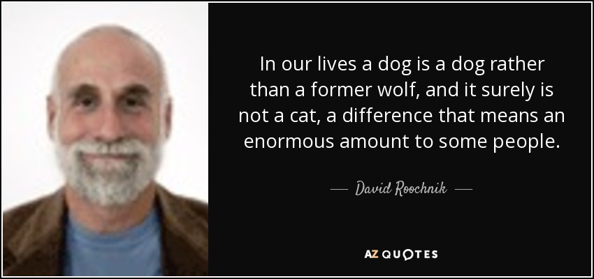 In our lives a dog is a dog rather than a former wolf, and it surely is not a cat, a difference that means an enormous amount to some people. - David Roochnik