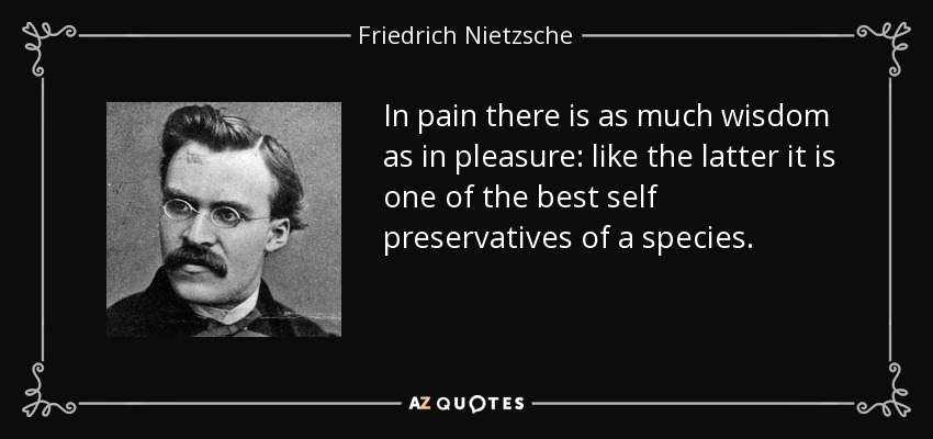 In pain there is as much wisdom as in pleasure: like the latter it is one of the best self preservatives of a species. - Friedrich Nietzsche