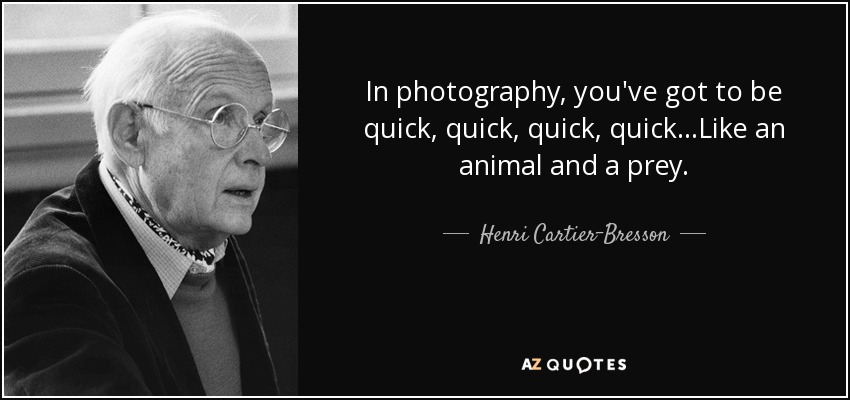 In photography, you've got to be quick, quick, quick, quick...Like an animal and a prey. - Henri Cartier-Bresson