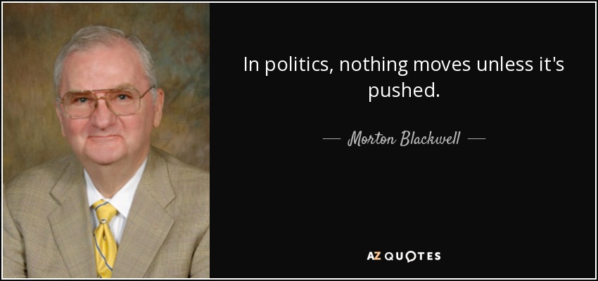 In politics, nothing moves unless it's pushed. - Morton Blackwell
