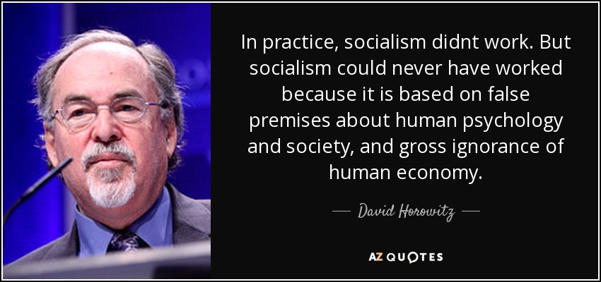 In practice, socialism didnt work. But socialism could never have worked because it is based on false premises about human psychology and society, and gross ignorance of human economy. - David Horowitz