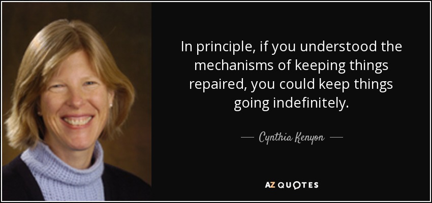 In principle, if you understood the mechanisms of keeping things repaired, you could keep things going indefinitely. - Cynthia Kenyon