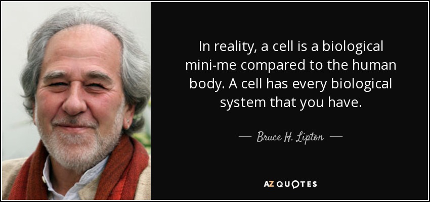 In reality, a cell is a biological mini-me compared to the human body. A cell has every biological system that you have. - Bruce H. Lipton