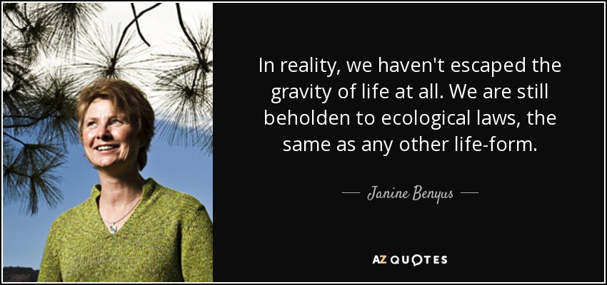 In reality, we haven't escaped the gravity of life at all. We are still beholden to ecological laws, the same as any other life-form. - Janine Benyus