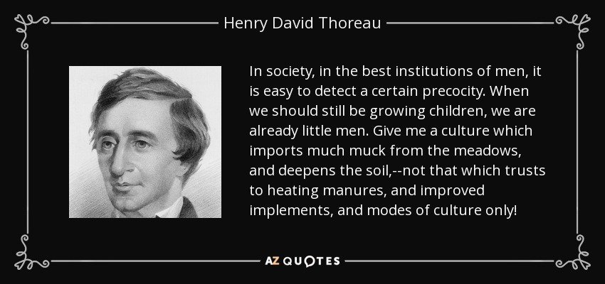 In society, in the best institutions of men, it is easy to detect a certain precocity. When we should still be growing children, we are already little men. Give me a culture which imports much muck from the meadows, and deepens the soil,--not that which trusts to heating manures, and improved implements, and modes of culture only! - Henry David Thoreau