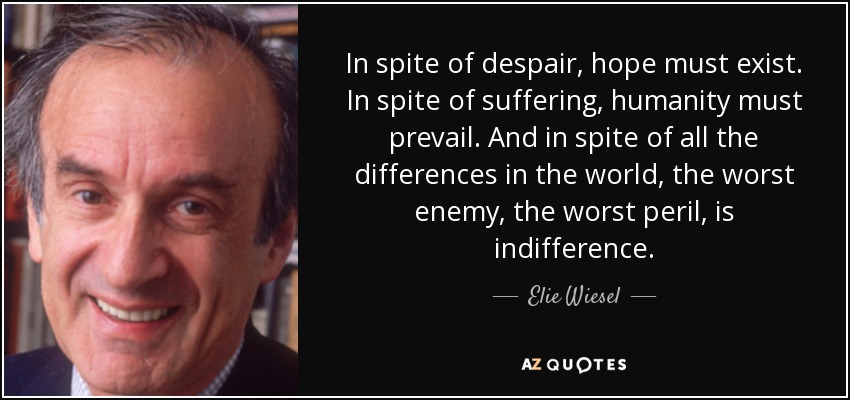 In spite of despair, hope must exist. In spite of suffering, humanity must prevail. And in spite of all the differences in the world, the worst enemy, the worst peril, is indifference. - Elie Wiesel