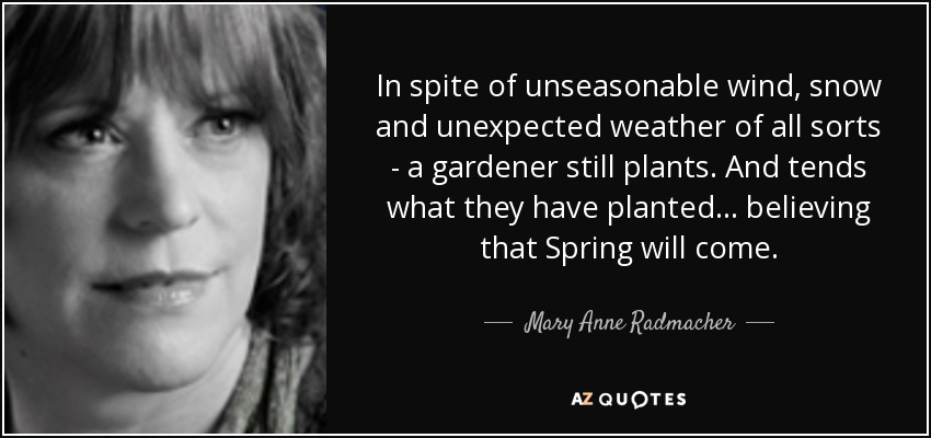 In spite of unseasonable wind, snow and unexpected weather of all sorts - a gardener still plants. And tends what they have planted ... believing that Spring will come. - Mary Anne Radmacher