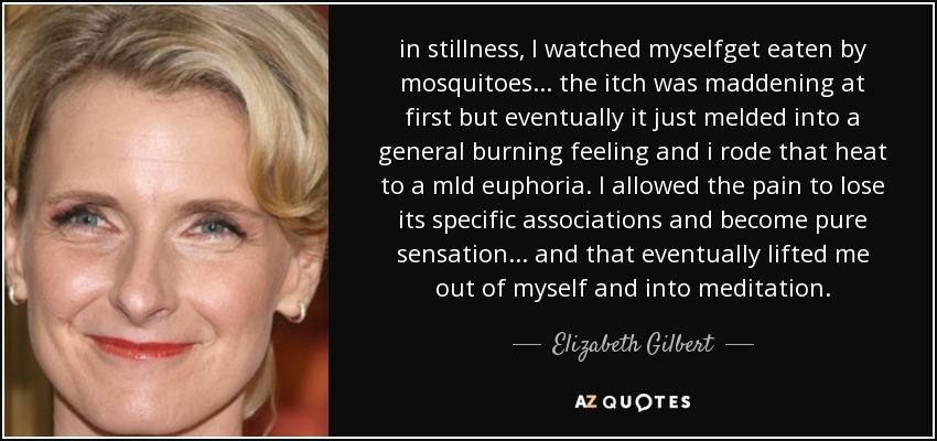 in stillness, I watched myselfget eaten by mosquitoes... the itch was maddening at first but eventually it just melded into a general burning feeling and i rode that heat to a mld euphoria. I allowed the pain to lose its specific associations and become pure sensation... and that eventually lifted me out of myself and into meditation. - Elizabeth Gilbert