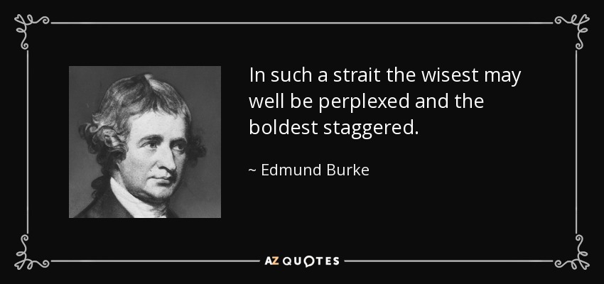 In such a strait the wisest may well be perplexed and the boldest staggered. - Edmund Burke