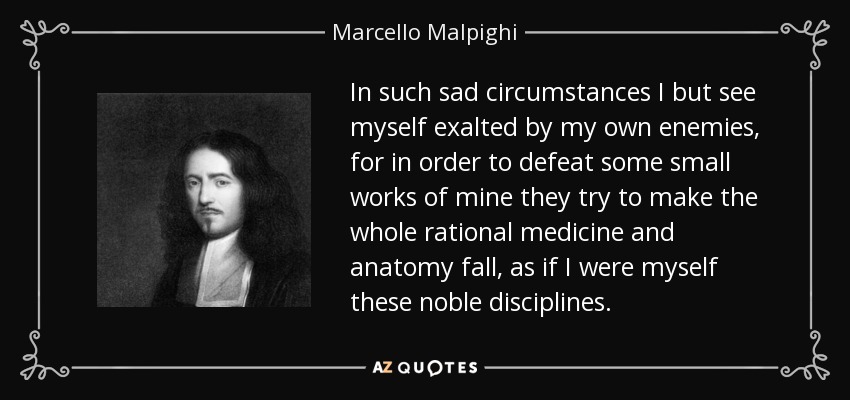 In such sad circumstances I but see myself exalted by my own enemies, for in order to defeat some small works of mine they try to make the whole rational medicine and anatomy fall, as if I were myself these noble disciplines. - Marcello Malpighi