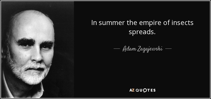 In summer the empire of insects spreads. - Adam Zagajewski