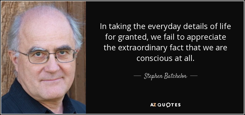 In taking the everyday details of life for granted, we fail to appreciate the extraordinary fact that we are conscious at all. - Stephen Batchelor