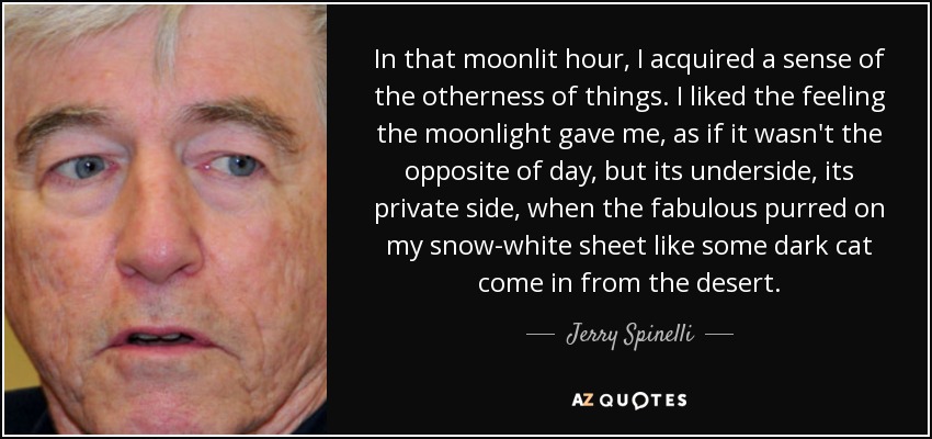 In that moonlit hour, I acquired a sense of the otherness of things. I liked the feeling the moonlight gave me, as if it wasn't the opposite of day, but its underside, its private side, when the fabulous purred on my snow-white sheet like some dark cat come in from the desert. - Jerry Spinelli