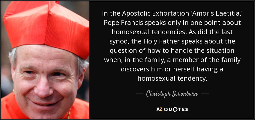 In the Apostolic Exhortation 'Amoris Laetitia,' Pope Francis speaks only in one point about homosexual tendencies. As did the last synod, the Holy Father speaks about the question of how to handle the situation when, in the family, a member of the family discovers him or herself having a homosexual tendency. - Christoph Schonborn