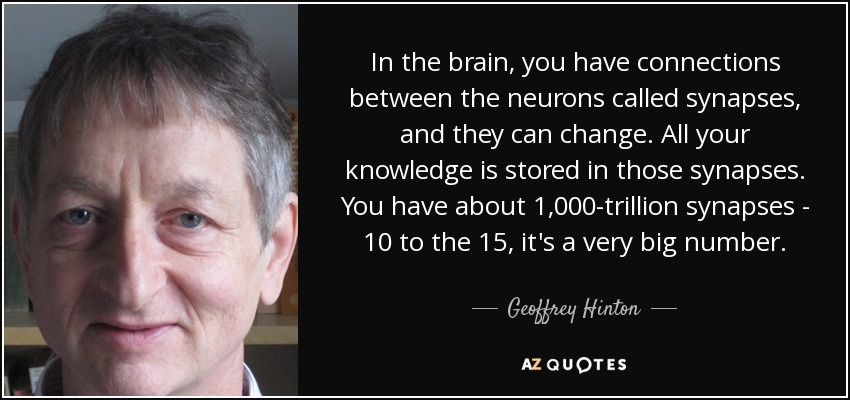 In the brain, you have connections between the neurons called synapses, and they can change. All your knowledge is stored in those synapses. You have about 1,000-trillion synapses - 10 to the 15, it's a very big number. - Geoffrey Hinton