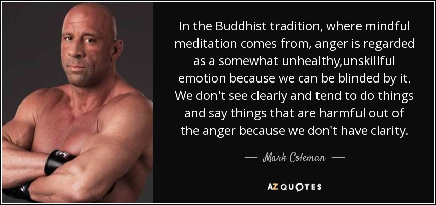 In the Buddhist tradition, where mindful meditation comes from, anger is regarded as a somewhat unhealthy,unskillful emotion because we can be blinded by it. We don't see clearly and tend to do things and say things that are harmful out of the anger because we don't have clarity. - Mark Coleman