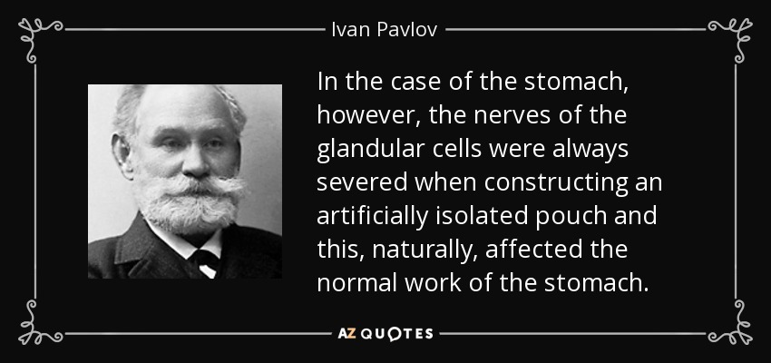 In the case of the stomach, however, the nerves of the glandular cells were always severed when constructing an artificially isolated pouch and this, naturally, affected the normal work of the stomach. - Ivan Pavlov