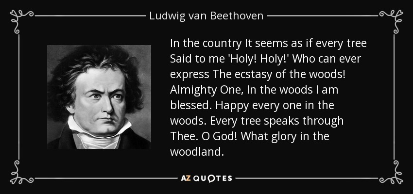 In the country It seems as if every tree Said to me 'Holy! Holy!' Who can ever express The ecstasy of the woods! Almighty One, In the woods I am blessed. Happy every one in the woods. Every tree speaks through Thee. O God! What glory in the woodland. - Ludwig van Beethoven