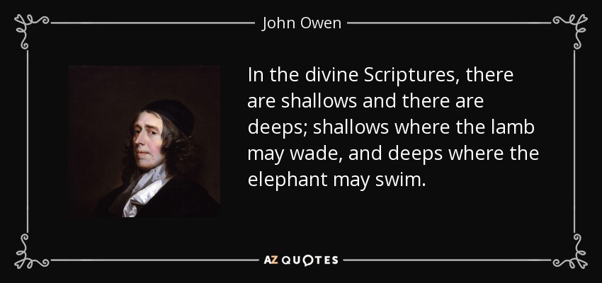 In the divine Scriptures, there are shallows and there are deeps; shallows where the lamb may wade, and deeps where the elephant may swim. - John Owen