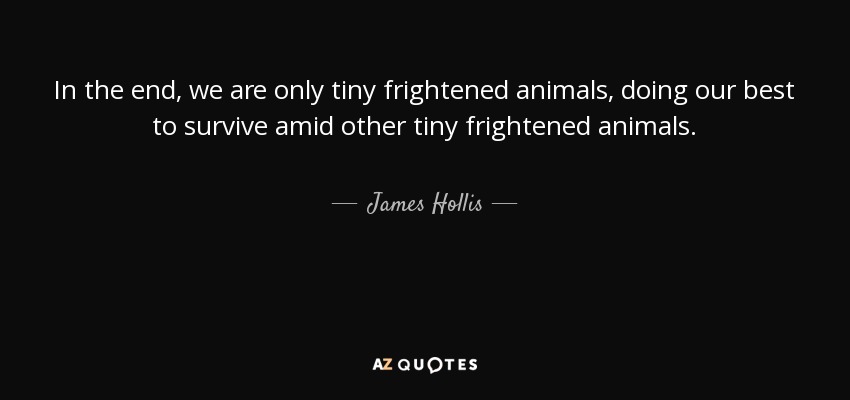 In the end, we are only tiny frightened animals, doing our best to survive amid other tiny frightened animals. - James Hollis