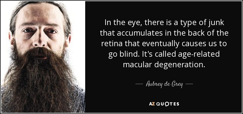 In the eye, there is a type of junk that accumulates in the back of the retina that eventually causes us to go blind. It's called age-related macular degeneration. - Aubrey de Grey