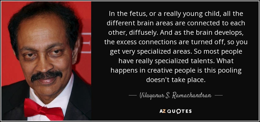 In the fetus, or a really young child, all the different brain areas are connected to each other, diffusely. And as the brain develops, the excess connections are turned off, so you get very specialized areas. So most people have really specialized talents. What happens in creative people is this pooling doesn't take place. - Vilayanur S. Ramachandran