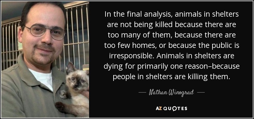 In the final analysis, animals in shelters are not being killed because there are too many of them, because there are too few homes, or because the public is irresponsible. Animals in shelters are dying for primarily one reason–because people in shelters are killing them. - Nathan Winograd