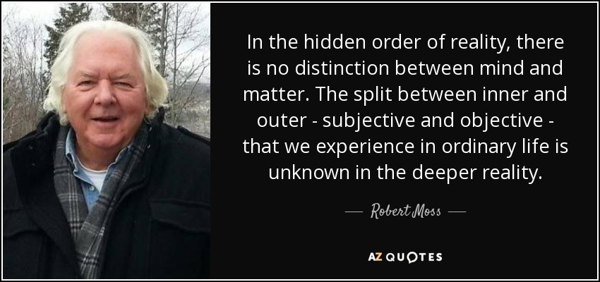 In the hidden order of reality, there is no distinction between mind and matter. The split between inner and outer - subjective and objective - that we experience in ordinary life is unknown in the deeper reality. - Robert Moss