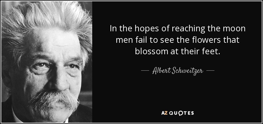 In the hopes of reaching the moon men fail to see the flowers that blossom at their feet. - Albert Schweitzer