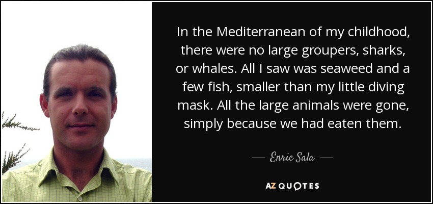 In the Mediterranean of my childhood, there were no large groupers, sharks, or whales. All I saw was seaweed and a few fish, smaller than my little diving mask. All the large animals were gone, simply because we had eaten them. - Enric Sala