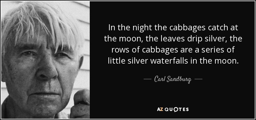 In the night the cabbages catch at the moon, the leaves drip silver, the rows of cabbages are a series of little silver waterfalls in the moon. - Carl Sandburg