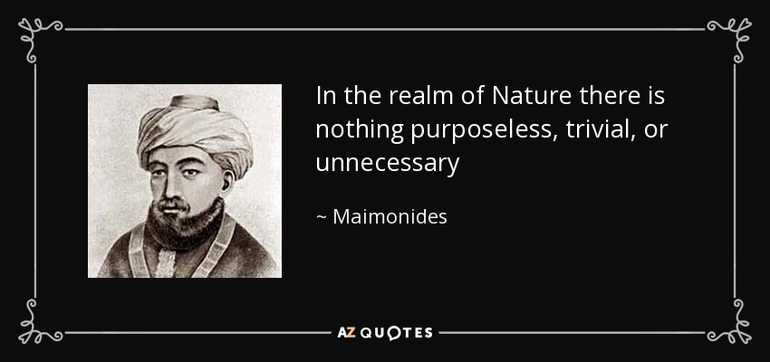 In the realm of Nature there is nothing purposeless, trivial, or unnecessary - Maimonides