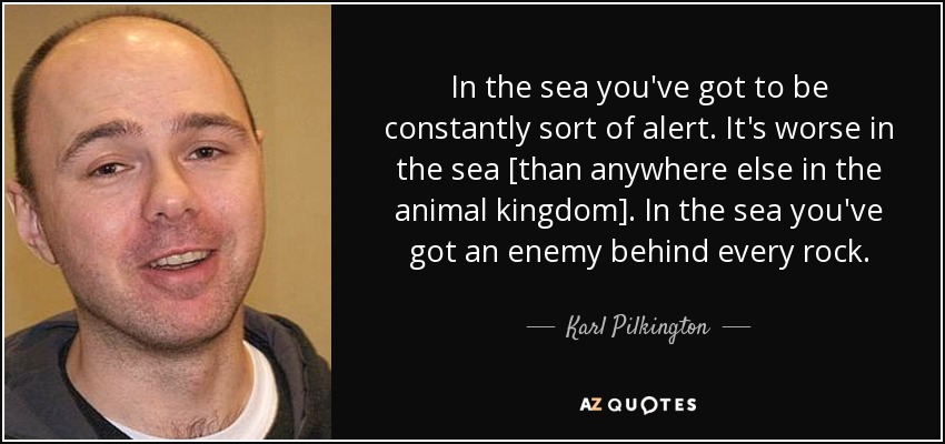 In the sea you've got to be constantly sort of alert. It's worse in the sea [than anywhere else in the animal kingdom]. In the sea you've got an enemy behind every rock. - Karl Pilkington