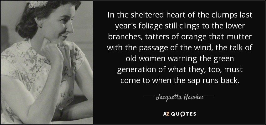 In the sheltered heart of the clumps last year's foliage still clings to the lower branches, tatters of orange that mutter with the passage of the wind, the talk of old women warning the green generation of what they, too, must come to when the sap runs back. - Jacquetta Hawkes