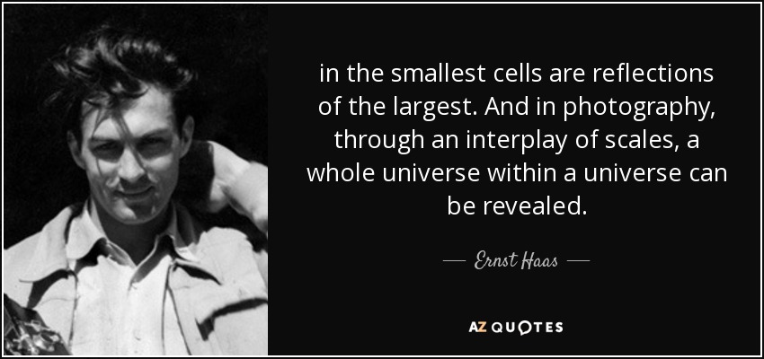 in the smallest cells are reflections of the largest. And in photography, through an interplay of scales, a whole universe within a universe can be revealed. - Ernst Haas