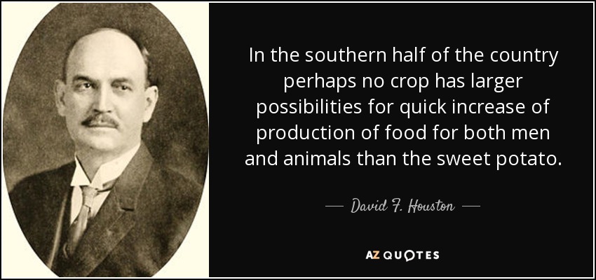 In the southern half of the country perhaps no crop has larger possibilities for quick increase of production of food for both men and animals than the sweet potato. - David F. Houston