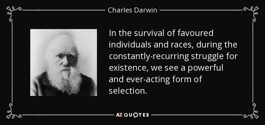 In the survival of favoured individuals and races, during the constantly-recurring struggle for existence, we see a powerful and ever-acting form of selection. - Charles Darwin