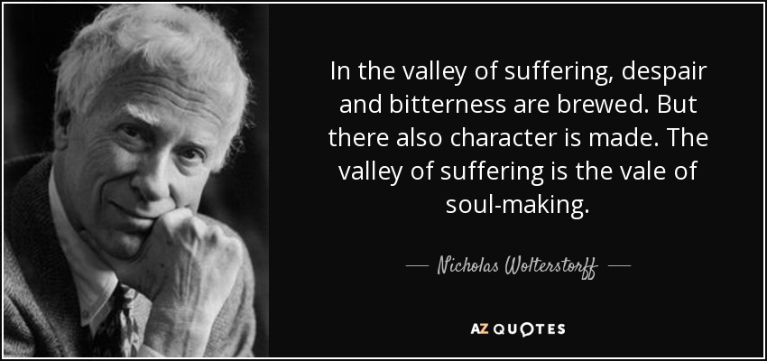 In the valley of suffering, despair and bitterness are brewed. But there also character is made. The valley of suffering is the vale of soul-making. - Nicholas Wolterstorff