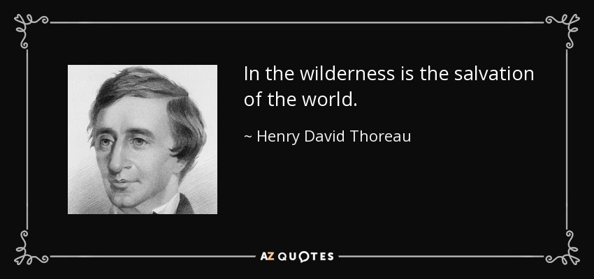In the wilderness is the salvation of the world. - Henry David Thoreau