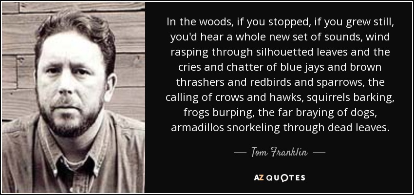 In the woods, if you stopped, if you grew still, you'd hear a whole new set of sounds, wind rasping through silhouetted leaves and the cries and chatter of blue jays and brown thrashers and redbirds and sparrows, the calling of crows and hawks, squirrels barking, frogs burping, the far braying of dogs, armadillos snorkeling through dead leaves. - Tom Franklin