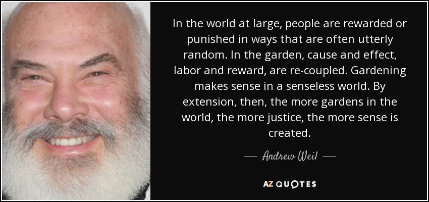 In the world at large, people are rewarded or punished in ways that are often utterly random. In the garden, cause and effect, labor and reward, are re-coupled. Gardening makes sense in a senseless world. By extension, then, the more gardens in the world, the more justice, the more sense is created. - Andrew Weil