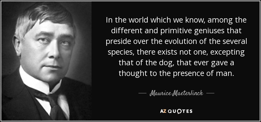 In the world which we know, among the different and primitive geniuses that preside over the evolution of the several species, there exists not one, excepting that of the dog, that ever gave a thought to the presence of man. - Maurice Maeterlinck