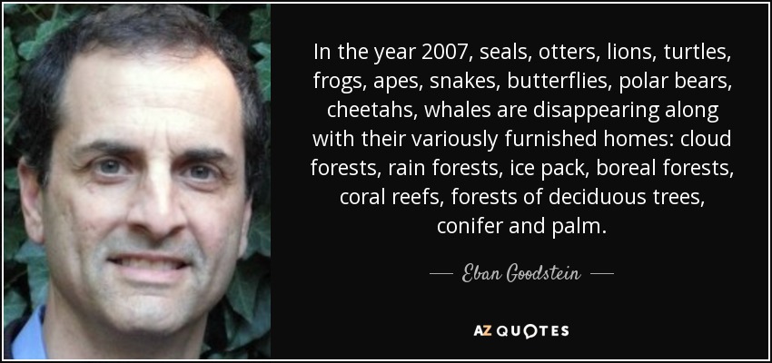 In the year 2007, seals, otters, lions, turtles, frogs, apes, snakes, butterflies, polar bears, cheetahs, whales are disappearing along with their variously furnished homes: cloud forests, rain forests, ice pack, boreal forests, coral reefs, forests of deciduous trees, conifer and palm. - Eban Goodstein