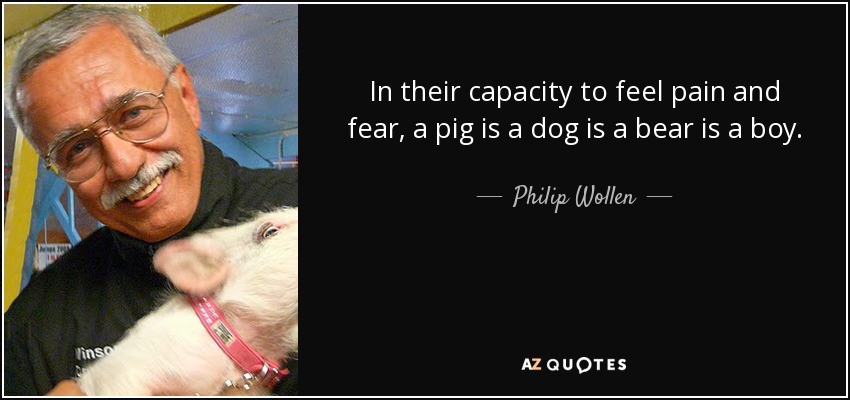 In their capacity to feel pain and fear, a pig is a dog is a bear is a boy. - Philip Wollen