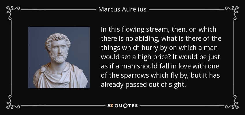 In this flowing stream, then, on which there is no abiding, what is there of the things which hurry by on which a man would set a high price? It would be just as if a man should fall in love with one of the sparrows which fly by, but it has already passed out of sight. - Marcus Aurelius