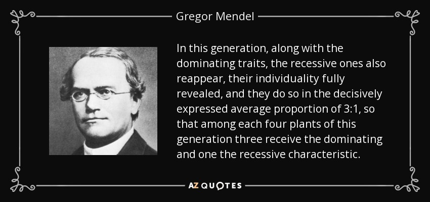 In this generation, along with the dominating traits, the recessive ones also reappear, their individuality fully revealed, and they do so in the decisively expressed average proportion of 3:1, so that among each four plants of this generation three receive the dominating and one the recessive characteristic. - Gregor Mendel