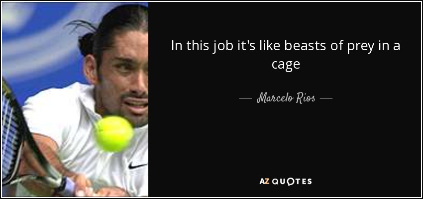 In this job it's like beasts of prey in a cage - Marcelo Rios